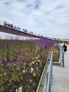 20250526-5.jpg