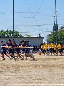 20260514-3.jpg