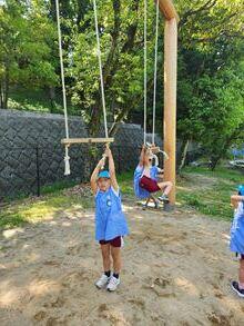 20260522-1.jpg