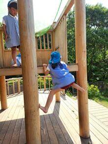 20260522-2.jpg