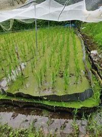 20260709-3.jpg