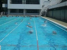 swimswim3.JPG